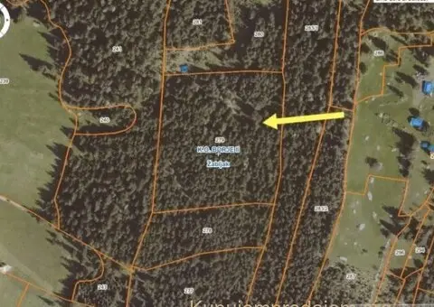 Prodajem plac u Podgori-Žabljak - 1/10