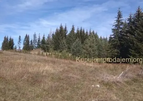Prodajem plac u Podgori-Žabljak - 4/10