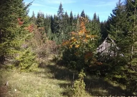 Prodajem plac u Podgori-Žabljak - 5/10