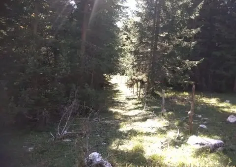 Prodajem plac u Podgori-Žabljak - 6/10