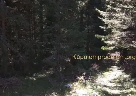 Prodajem plac u Podgori-Žabljak - 7/10