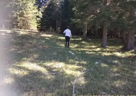 Prodajem plac u Podgori-Žabljak - 9/10