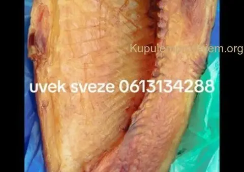Prodajem svezu ribu - 3/4