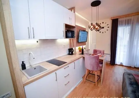 Stanovi na 300m od jezera-Zlatibor - 11/15