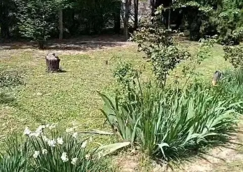 Kuca u vikend naselju Cortanovci - 2/9