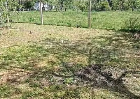 Kuca u vikend naselju Cortanovci - 4/9