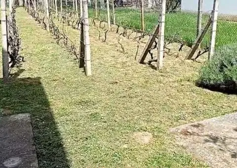 Kuca u vikend naselju Cortanovci - 6/9