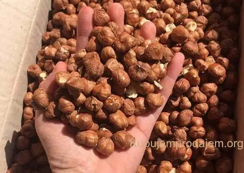 USLUŽNO KRCKANJE LEŠNIKA