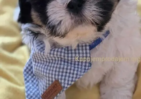 Prelepe si cu bebe - 1/8