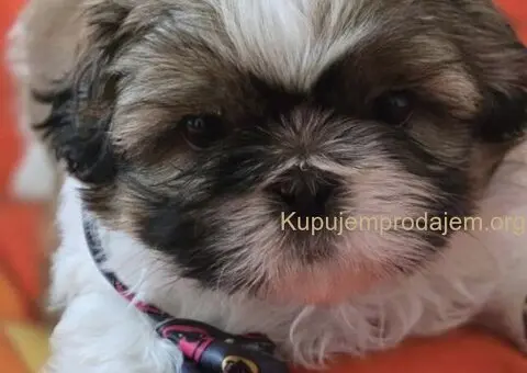 Prelepe si cu bebe - 2/8