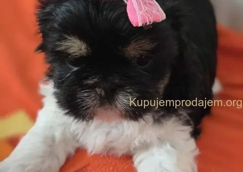 Prelepe si cu bebe - 3/8