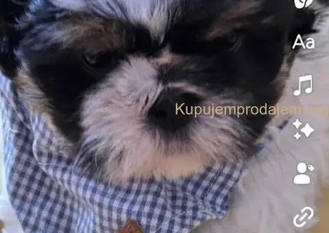 Prelepe si cu bebe - 5/8