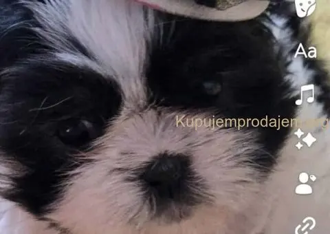 Prelepe si cu bebe - 6/8