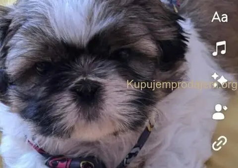 Prelepe si cu bebe - 7/8