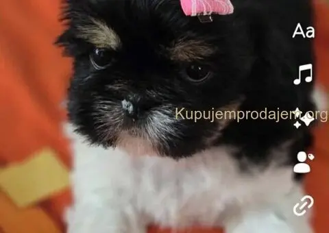 Prelepe si cu bebe - 8/8