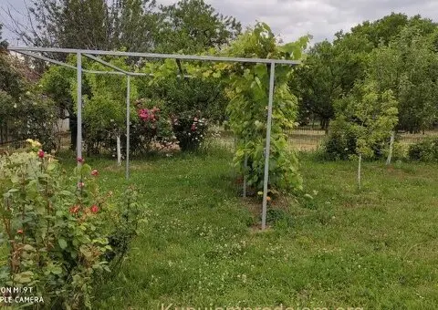 Vikendica na Ribnjaku-najatraktivnijem delu Novog Sada - 10/15