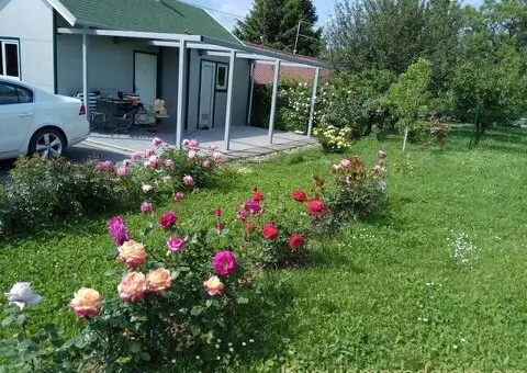 Vikendica na Ribnjaku-najatraktivnijem delu Novog Sada - 11/15