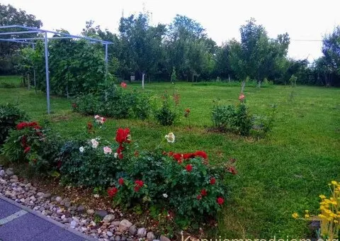 Vikendica na Ribnjaku-najatraktivnijem delu Novog Sada - 13/15