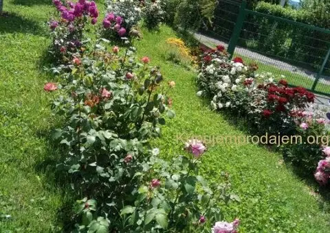 Vikendica na Ribnjaku-najatraktivnijem delu Novog Sada - 14/15