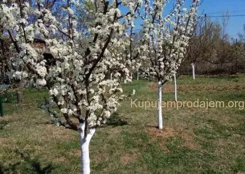 Vikendica na Ribnjaku-najatraktivnijem delu Novog Sada - 15/15