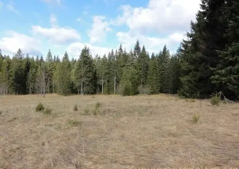 Na prodaju dva placa u blizini Mitrovca na Tari - 1/12