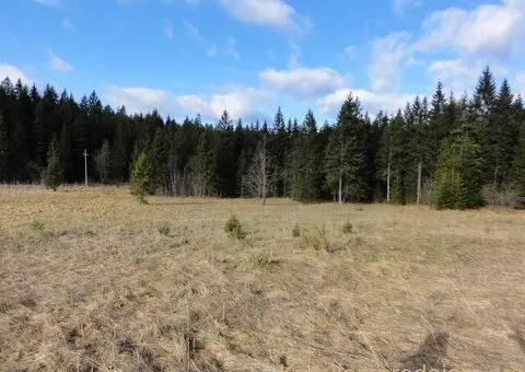 Na prodaju dva placa u blizini Mitrovca na Tari - 2/12