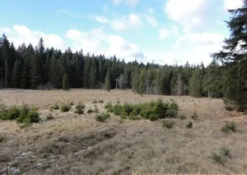 Na prodaju dva placa u blizini Mitrovca na Tari - 3/12