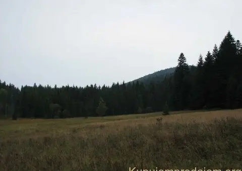 Na prodaju dva placa u blizini Mitrovca na Tari - 4/12