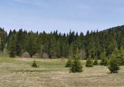 Na prodaju dva placa u blizini Mitrovca na Tari - 6/12