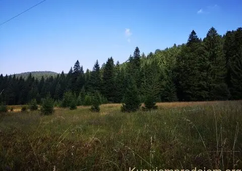 Na prodaju dva placa u blizini Mitrovca na Tari - 7/12