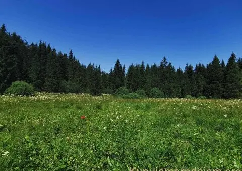 Na prodaju dva placa u blizini Mitrovca na Tari - 8/12