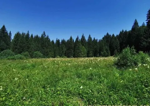 Na prodaju dva placa u blizini Mitrovca na Tari - 10/12