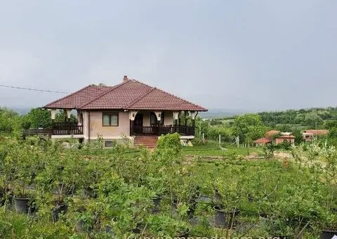 Prodajem kucu sa plantazom Žbevac-Bujanovac - 4/15
