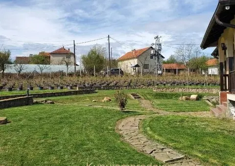 Prodajem kucu sa plantazom Žbevac-Bujanovac - 6/15