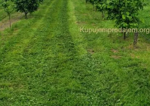 Prodajem kucu sa plantazom Žbevac-Bujanovac - 7/15