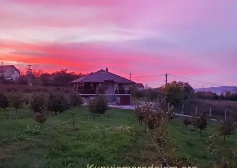 Prodajem kucu sa plantazom Žbevac-Bujanovac - 10/15