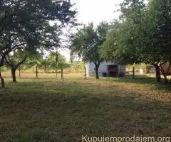 Prodajem kucu sa velikim placem-Obrež
