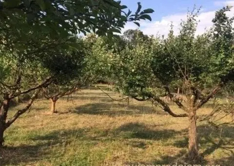 Prodajem kucu sa velikim placem-Obrež - 9/12