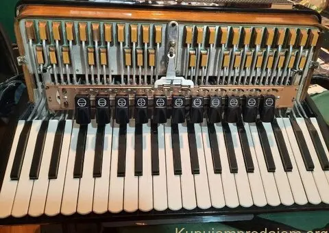 Harmonika VICTORIA, u vrhunskom stanju - 3/5