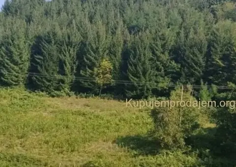 Prodajem seosko domacinstvo Bajina Basta-Solotusa - 4/10