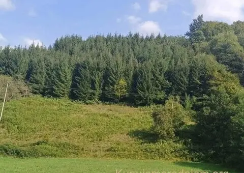 Prodajem seosko domacinstvo Bajina Basta-Solotusa - 6/10