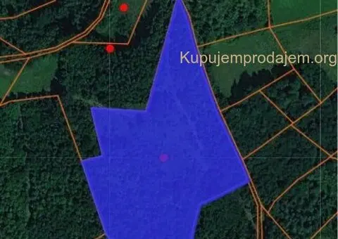 Prodajem 7 hekatara zemlje Gornji Milanovac-Trudelj - 3/6