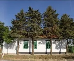 Prodajem salas u Srbobranu