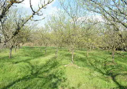 Useljiva kuca na dve etaze u Tularima kod Uba - 7/15