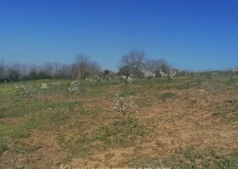 Plac 71 ar, Umčari-Grocka - 2/10