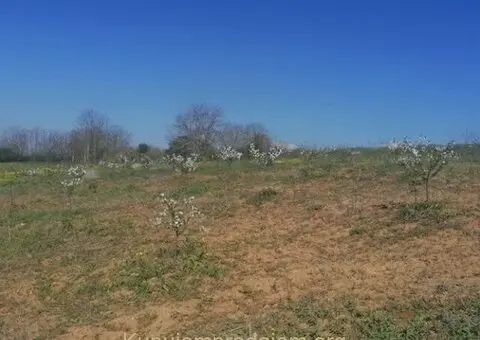 Plac 71 ar, Umčari-Grocka - 3/10