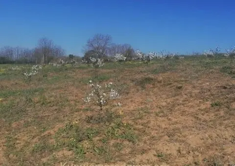 Plac 71 ar, Umčari-Grocka - 5/10