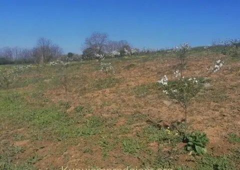 Plac 71 ar, Umčari-Grocka - 10/10