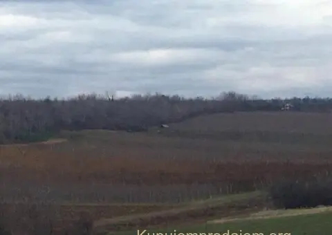 Prodajem 11 ha vocnjaka na Fruskoj gori - 6/6