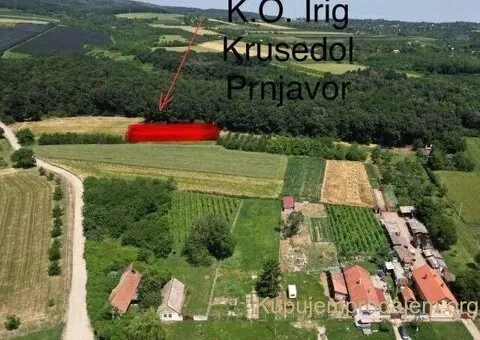 Prodajem zemljiste Krušedol-Irig - 1/12